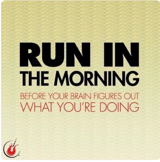 karrie_joy's tweet photo. Awake at 5 am…..before my alarm goes off - this is new 🫣. So - go for a run! 🏃🏼‍♀️ Then chores and coffee. Wow…..this is really something people do!! 🤪🤣 
#keeppromisestoyourself #5amwakeup #chooseyou #choosehappy #roughnighttucker 🐶😂 https://t.co/66qISI0O7h