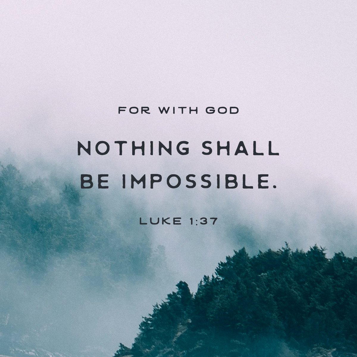 jackiestimpson1's tweet photo. For the word of God will never fail.”
Luke 1:37 NLT

https://t.co/fTIwqxVaSm https://t.co/Pnq0jBWsSw