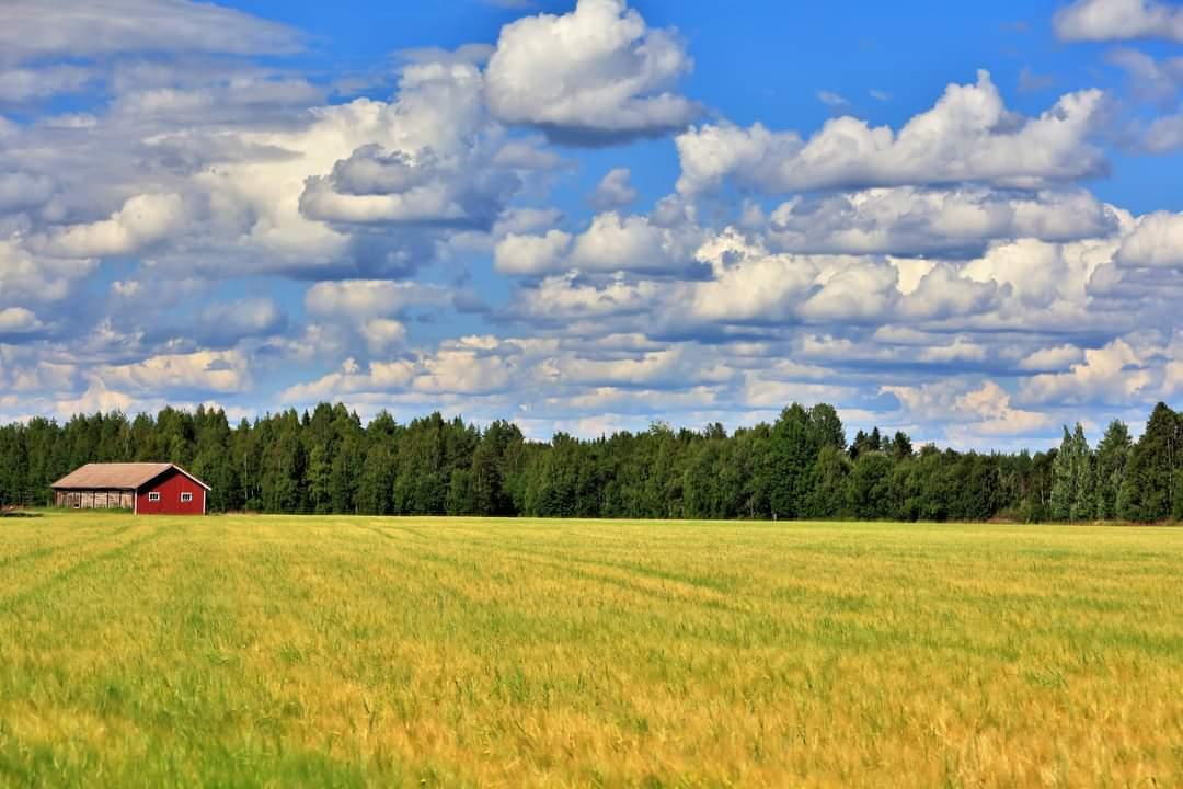 pekka.k.hatunen tweet media