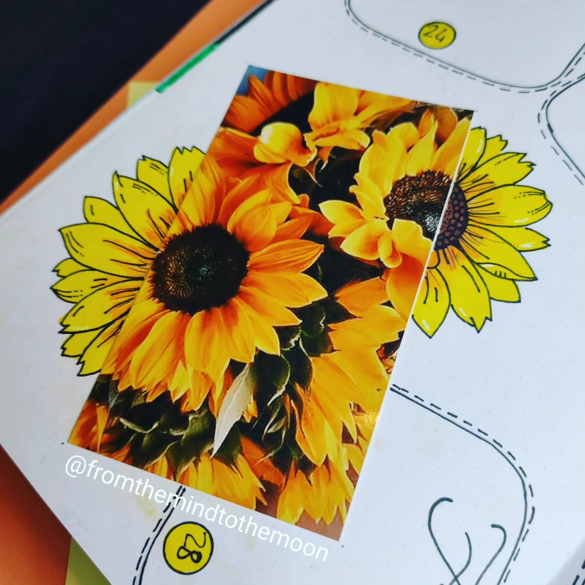 A detail of my #bujo! #scrapbooking #bulletjournal #art #artjournal #journal #sunflower #photograph #sunflower #sunflowerpainting #summer #July2023 #July27th #Weekly #summervibes #artist #scrapbook #drawingart #drawing #draw