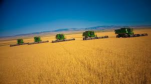 Brian Hoops tweet media