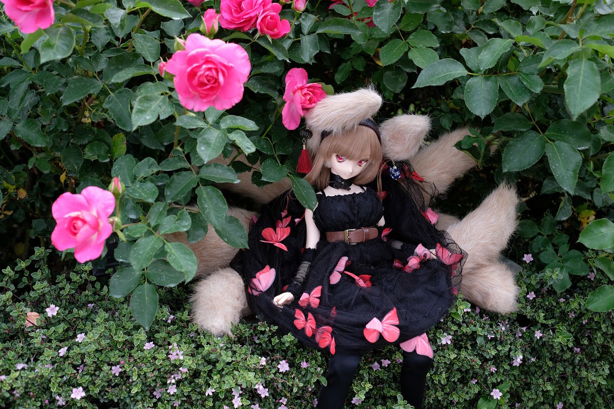 spdw5uf9's tweet photo. #このタグを見た人は黒ワンピースの画像を貼る https://t.co/mCagfAySjq