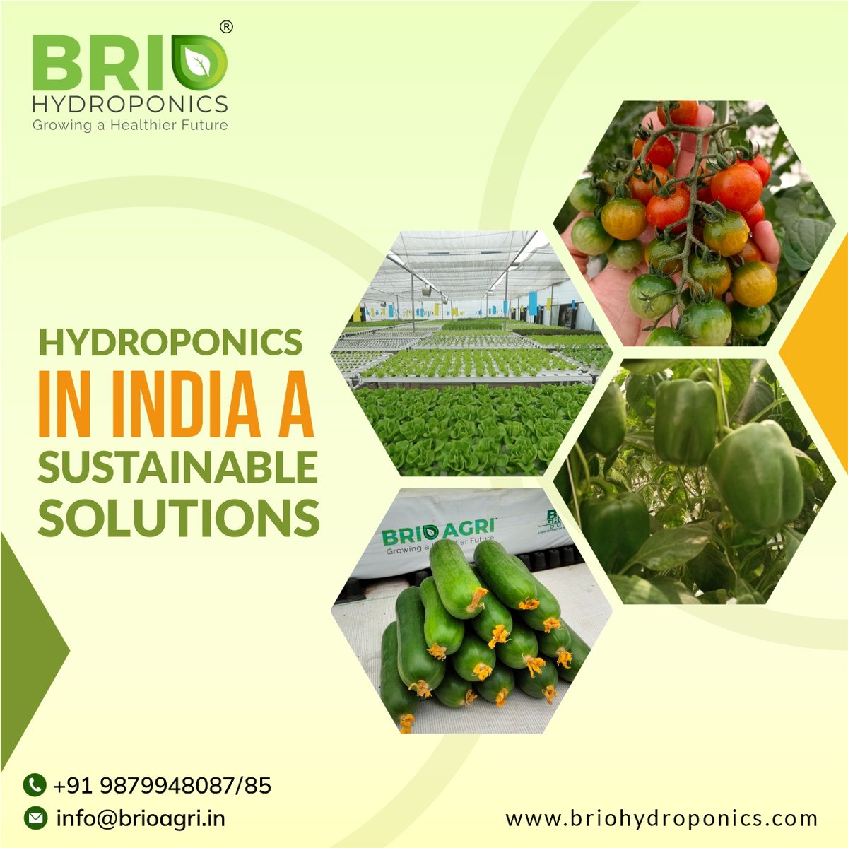 BrioHydroponics's tweet photo. You’ve probably heard about hydroponics and how it’s revolutionizing farming, but did you know it’s taking off in India? 

Read the full blog at:-  https://t.co/EIrUS4yXrN https://t.co/eMq8ZV8DbG