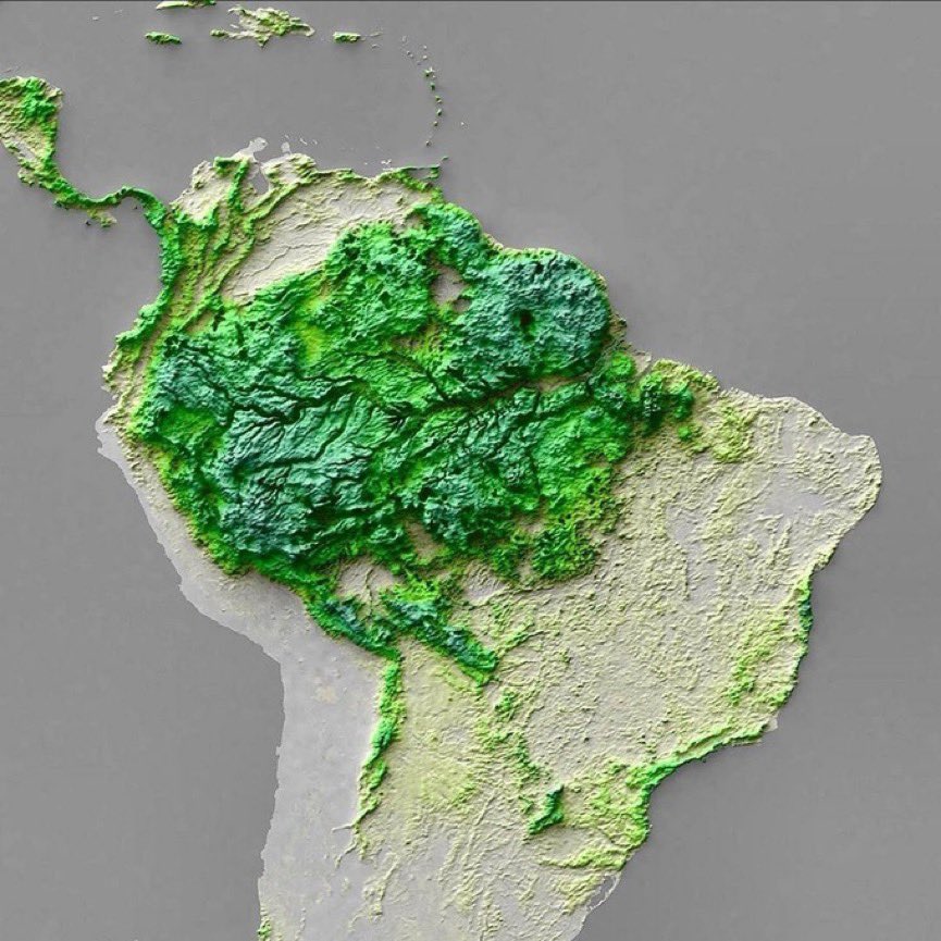 cachoecheverri's tweet photo. Tragedia de la deforestación &amp; la fuerza de los pueblos indígenas 👇🧵 https://t.co/hcpxhVv0A3