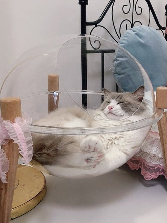 mofucat_media's tweet photo. 🐈mofucat プレゼントキャンペーン🐈

肉球が見える地球型カプセル猫ベッドをプレゼント！

　 ▼参加条件▼
『
@mofucat_media
 をフォロー&amp;このツイートをRT』

🐾締め切り🐾
　   〜8月27日

当選者様（1名様）には直接DMにて発表いたします🎁

#mofucat
#プレゼント企画 https://t.co/XE8oUwRUSX