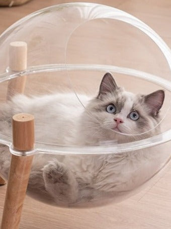 mofucat_media's tweet photo. 🐈mofucat プレゼントキャンペーン🐈

肉球が見える地球型カプセル猫ベッドをプレゼント！

　 ▼参加条件▼
『
@mofucat_media
 をフォロー&amp;このツイートをRT』

🐾締め切り🐾
　   〜8月27日

当選者様（1名様）には直接DMにて発表いたします🎁

#mofucat
#プレゼント企画 https://t.co/XE8oUwRUSX