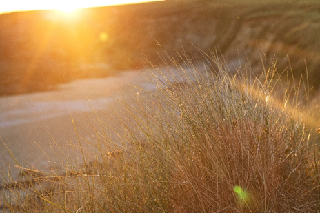 BDPs's tweet image. Feeling the #ThursdayFeeling! As the weekend approaches, let's stay motivated and focused on achieving our goals. Remember, every step counts in the journey to success! Embrace the day with positivity and determination, and let's make Thursday count!  #WeekendPrep #SuccessMindset