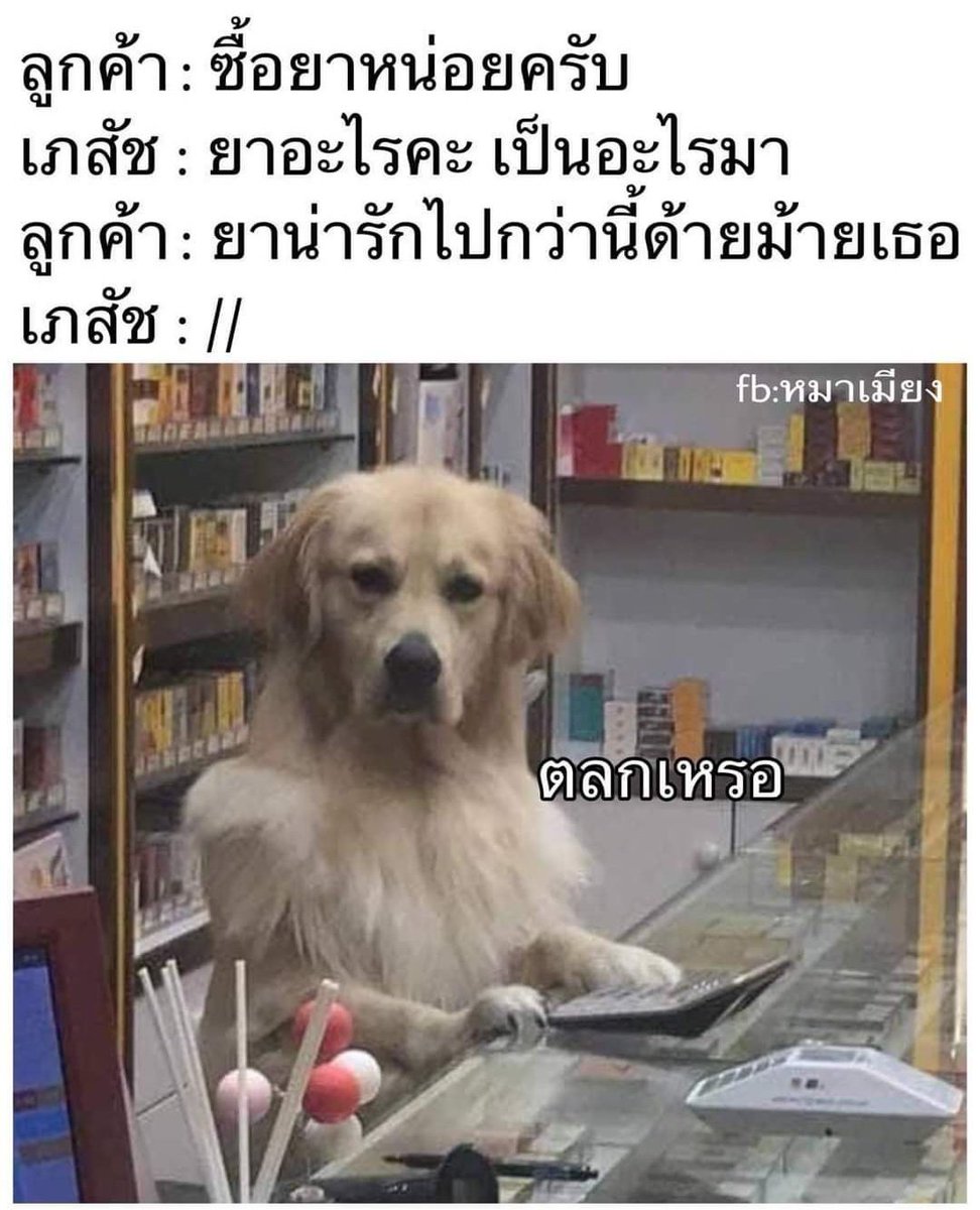 chaleenajaja's tweet photo. พักนี้คนไข้น่าจะเครียดนะคะ https://t.co/88mRWp9qMl
