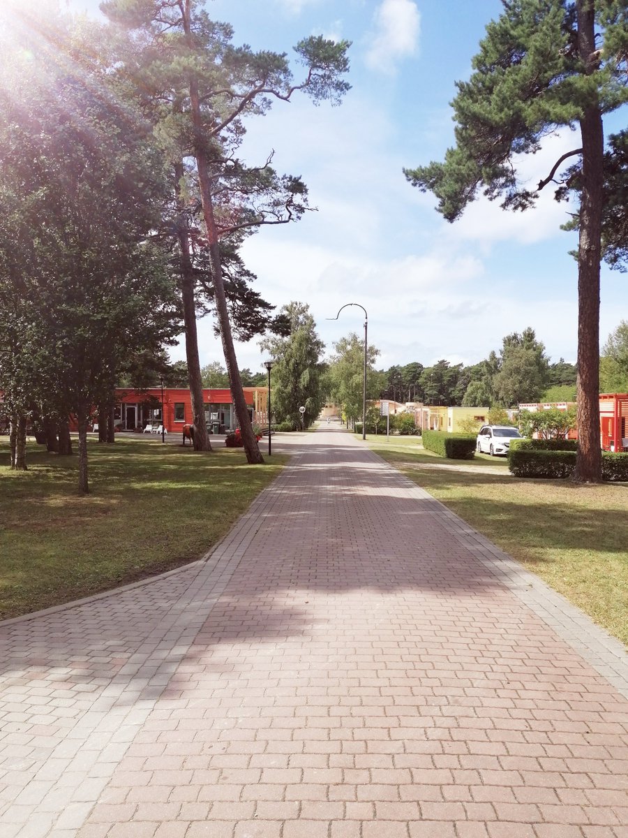 Mierpilna atpūta priežu meža ieskautajā Piejūras kempingā! ☀️🌳
Gaidīsim ciemos!