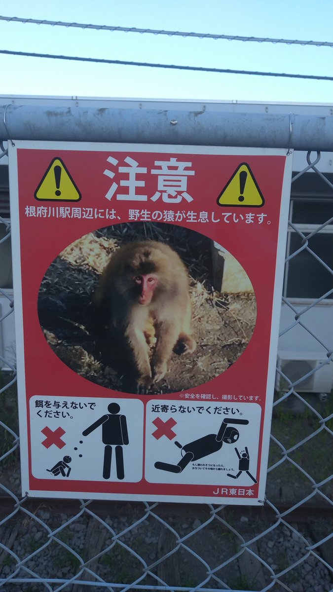 さるです。 大神奈川 on X