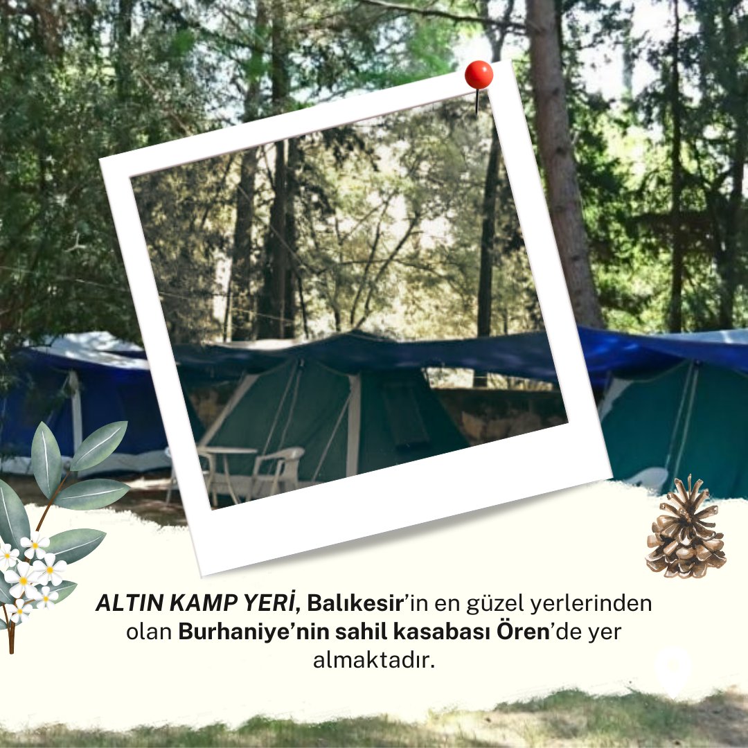 yomkamp tweet media
