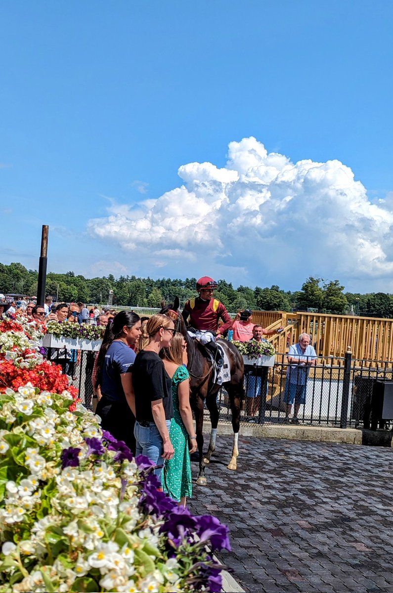 Like it when the good guy <a href="/GrahamMotion/">GrahamMotion</a> wins! Miss San Gabriel takes the 2nd at Saratoga. <a href="/SadandSulk/">Saddles and Sulkies</a> <a href="/PlastekMan/">Stan</a>