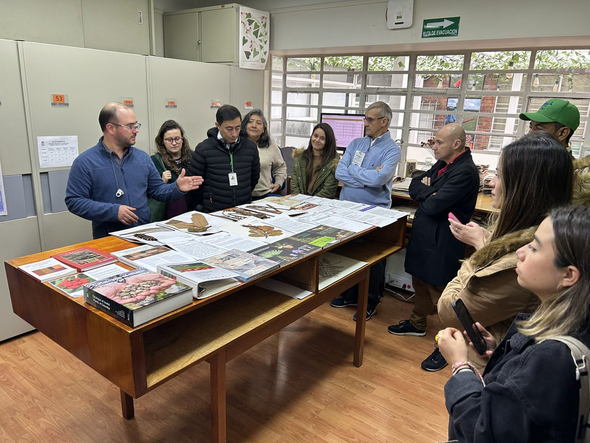 hugochavarria's tweet photo. Continuamos con el Seminario #Bioeconomia en acción. Hoy nos vinimos a conocer la Bioeconomía colombiana en el terreno. Mil gracias a @InstitutoSINCHI y @corpocampo por recibirnos y por evidenciar que la #bioeconomia es un proceso en marcha en nuestra región 💪💪💪 https://t.co/xowExXV2kl