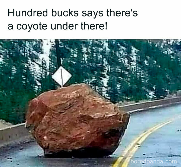 JamesGillian16's tweet photo. #BetterNamesThanX
Coyote under here here your sign https://t.co/kXQXSZ71t6