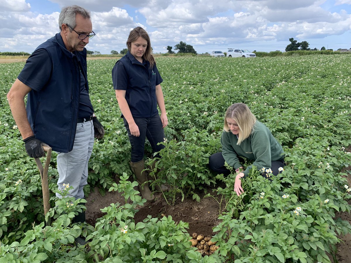 Greenvale Seed tweet media