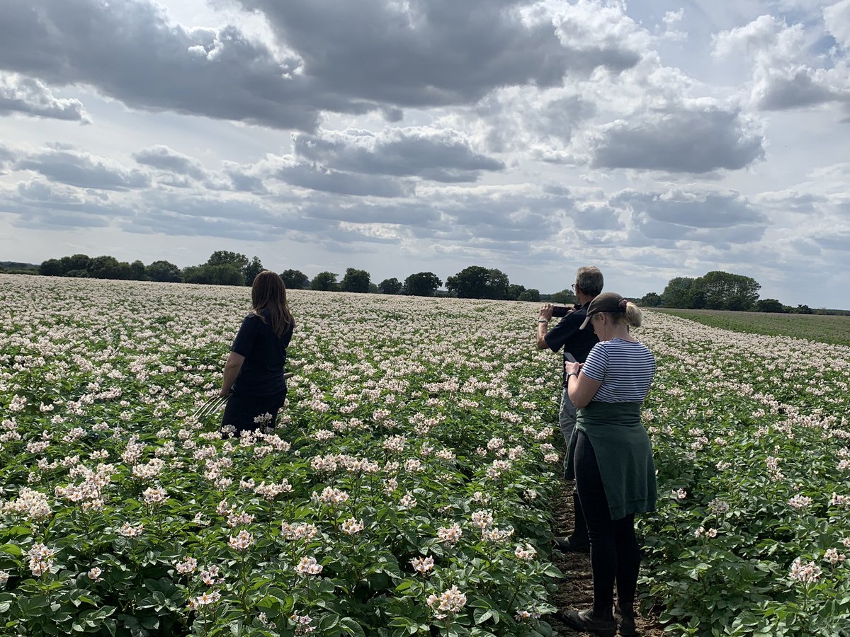 Greenvale Seed tweet media