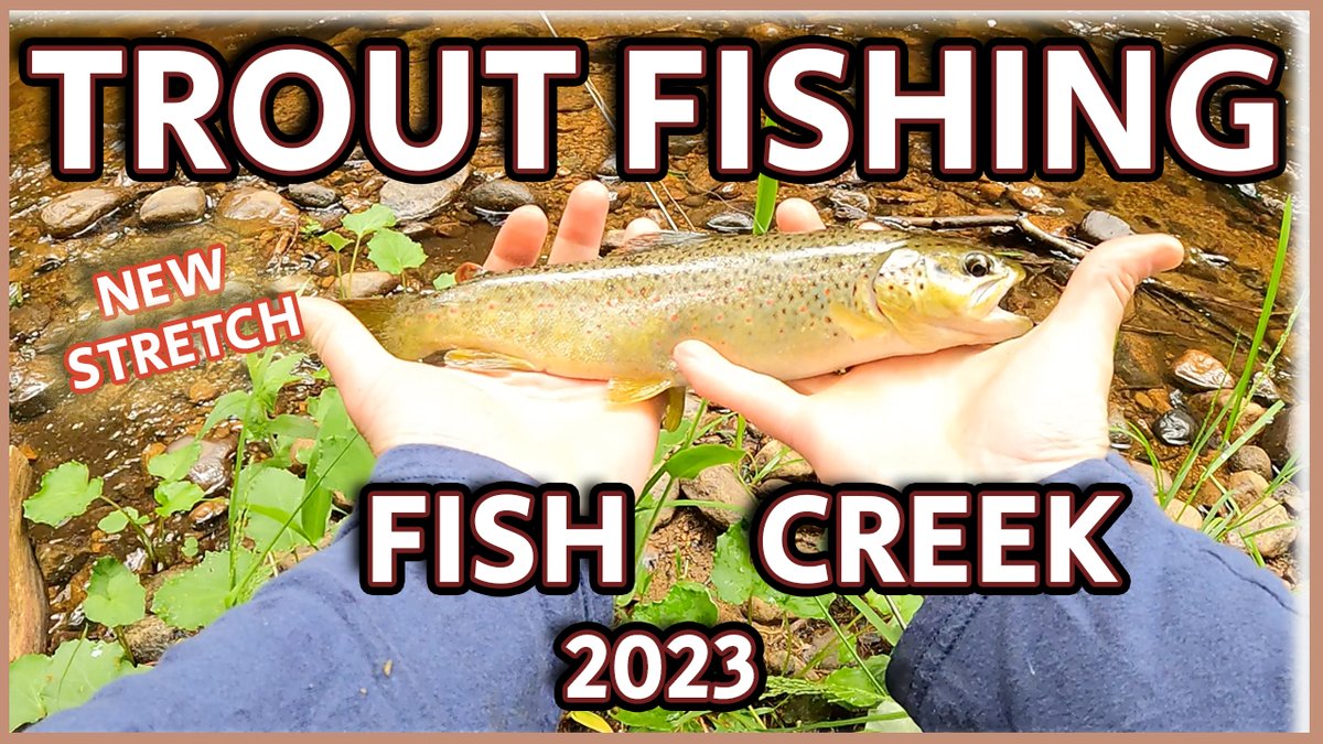 DrLukeTheDuke's tweet image. Finished it early! 

Trout Fishing 2023 - Fish Creek #troutfishing #fishcreek #fishing #brook... youtu.be/0xZ_OSuzFXM via @YouTube