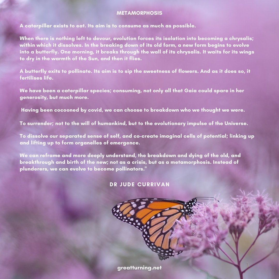 great_turning's tweet image. Join Jude for 'Thriving in the Emerging New World' and discover the unified nature of reality. 13 Sep to 20 Dec 2023 bit.ly/ThriveInNewWor…

#JudeCurrivan #EvolutionOfConsciousness #ThriveInTheNewWorld
