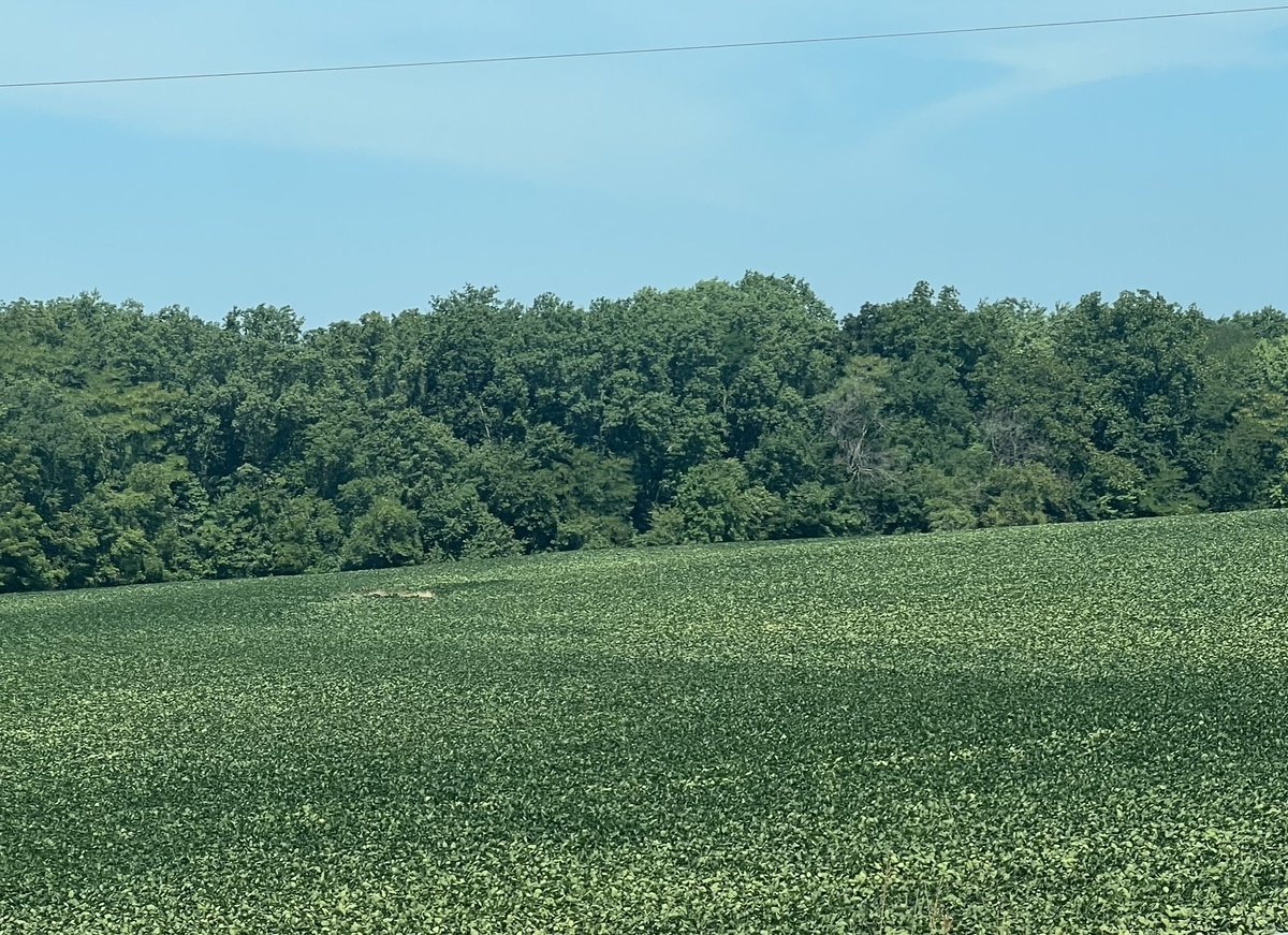 Keith Gehling tweet media