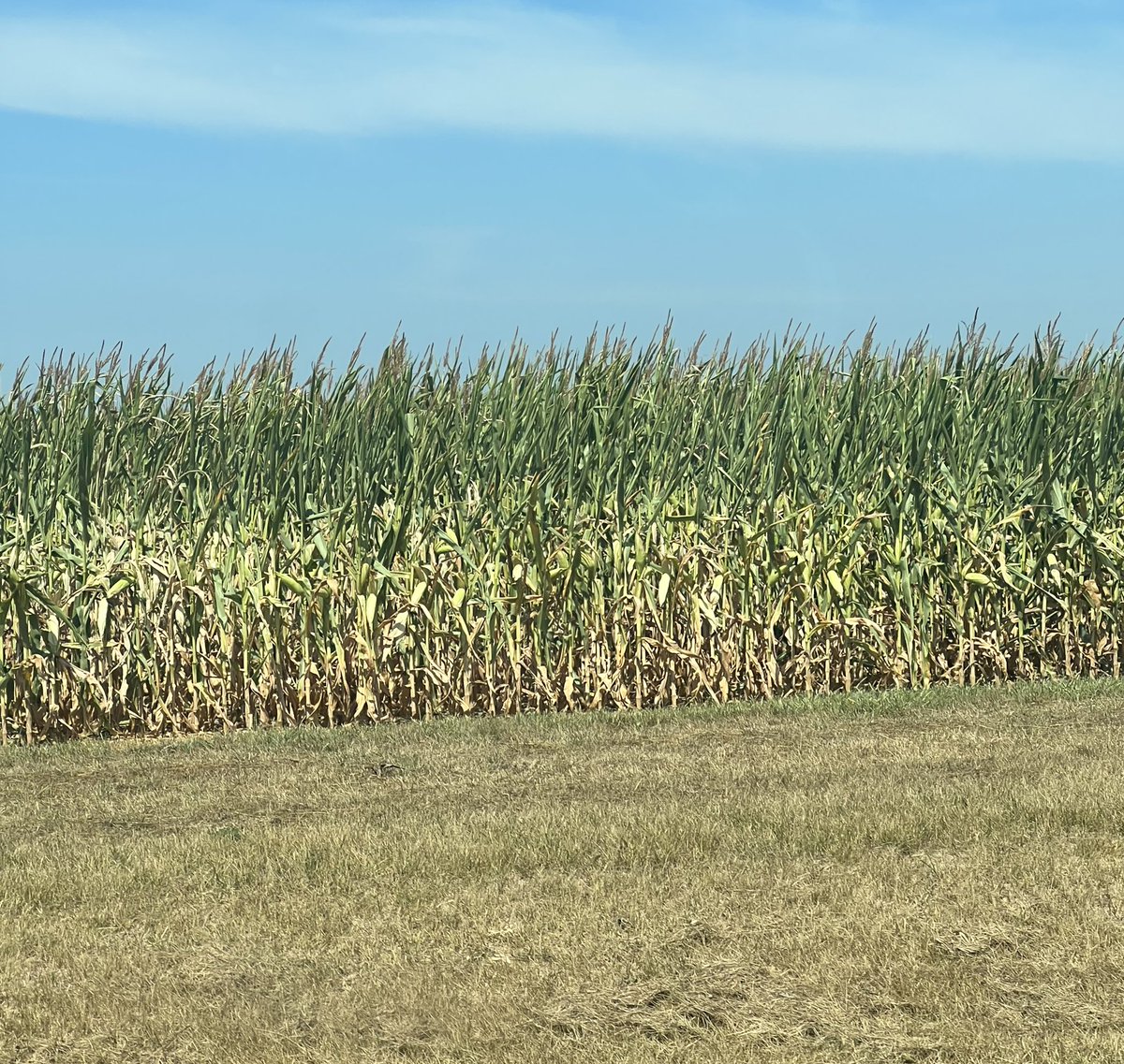 Keith Gehling tweet media