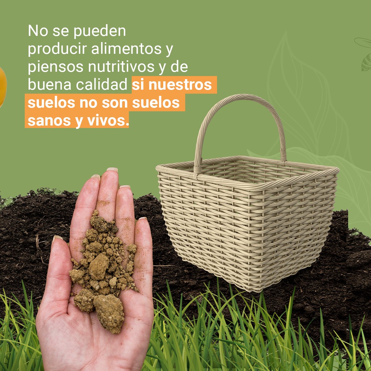 alasparaelcampo's tweet photo. Si nos comprometemos a regresar los nutrientes que ellos nos aportan, lograremos tener el equilibrio que se necesita para producir suficiente alimento en el mundo y acabar con el hambre mundial. 🍊😋 https://t.co/Ntq1FWyIHf