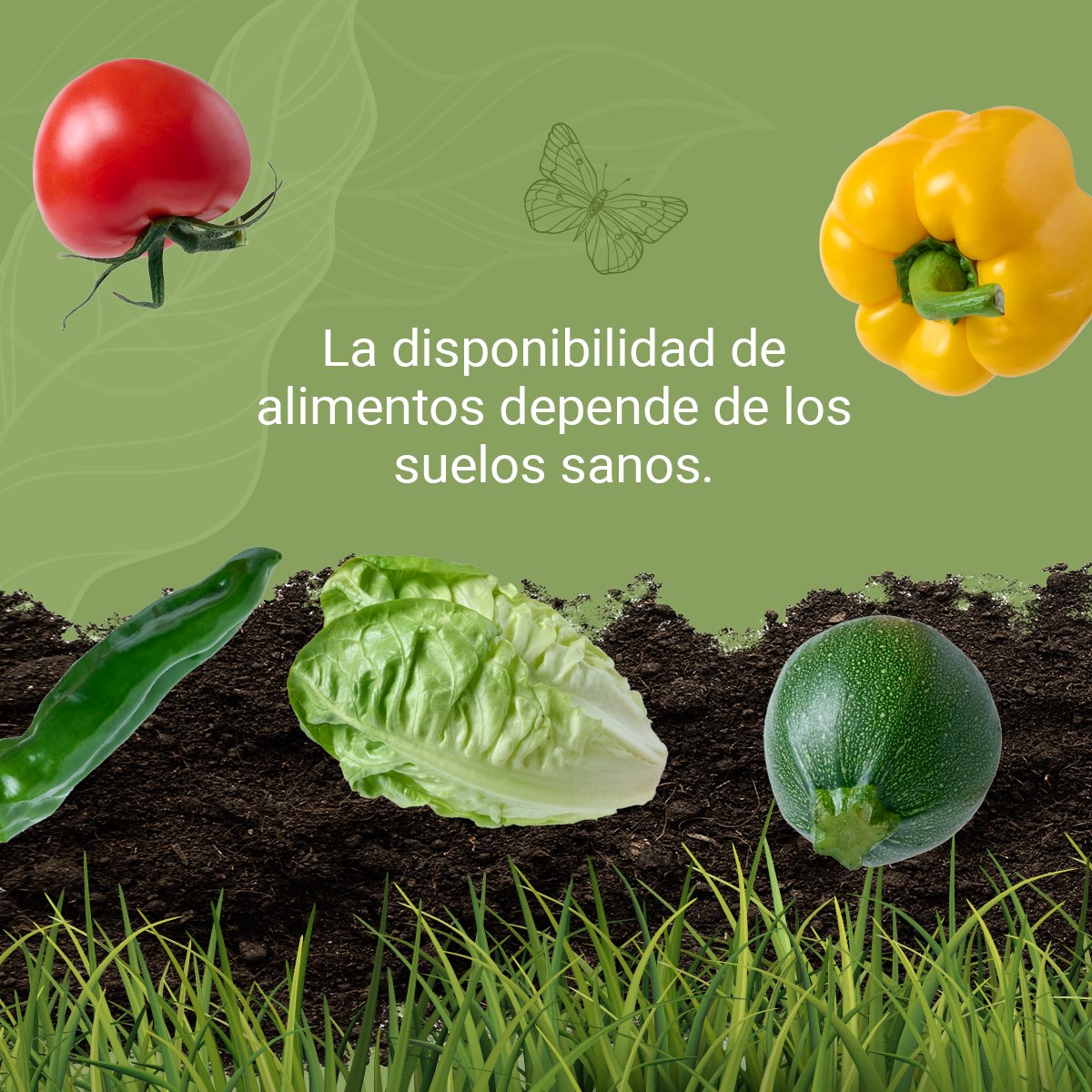 alasparaelcampo's tweet photo. Si nos comprometemos a regresar los nutrientes que ellos nos aportan, lograremos tener el equilibrio que se necesita para producir suficiente alimento en el mundo y acabar con el hambre mundial. 🍊😋 https://t.co/Ntq1FWyIHf