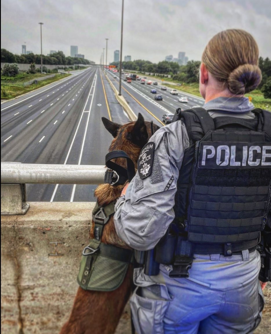 Durham Regional Police Service K-9 Unit tweet media