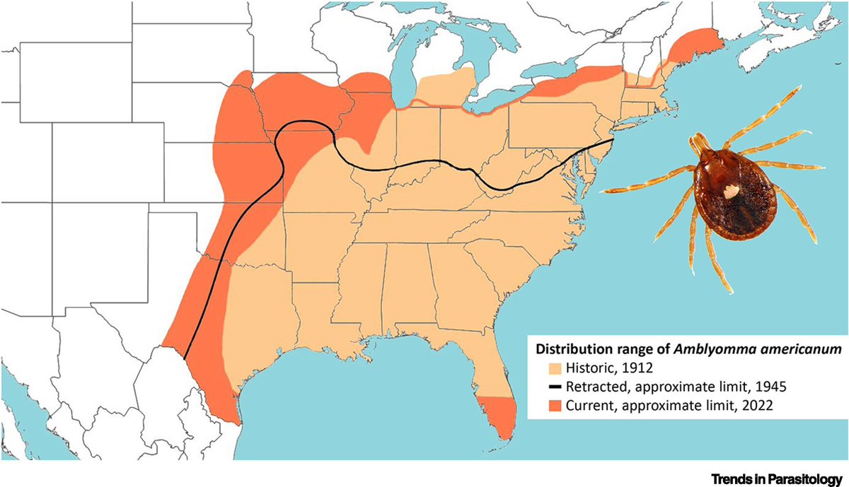Nick Mark MD tweet media