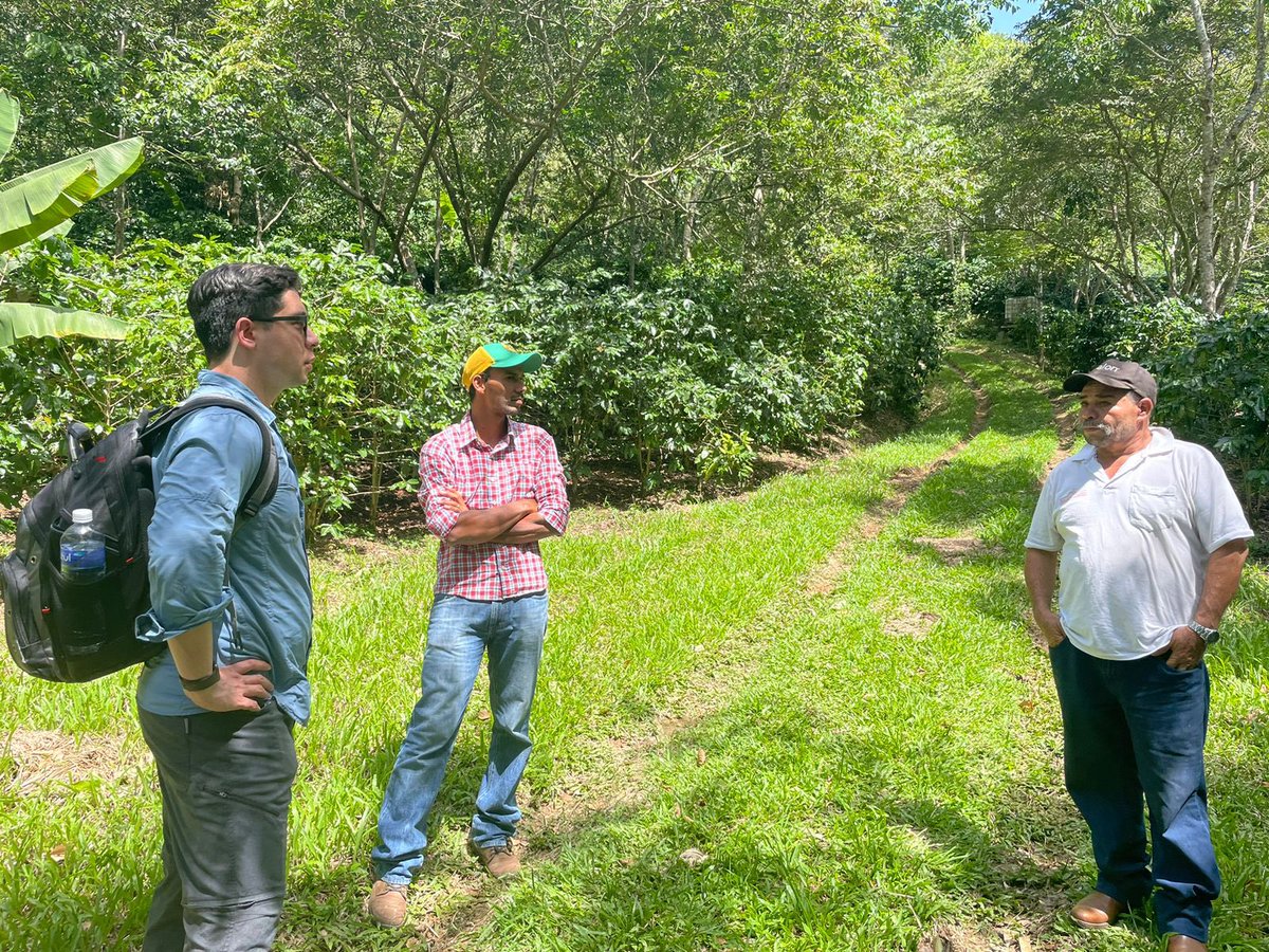 OIT América Central tweet media