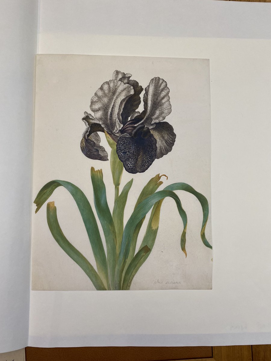 Zara Kesterton tweet media