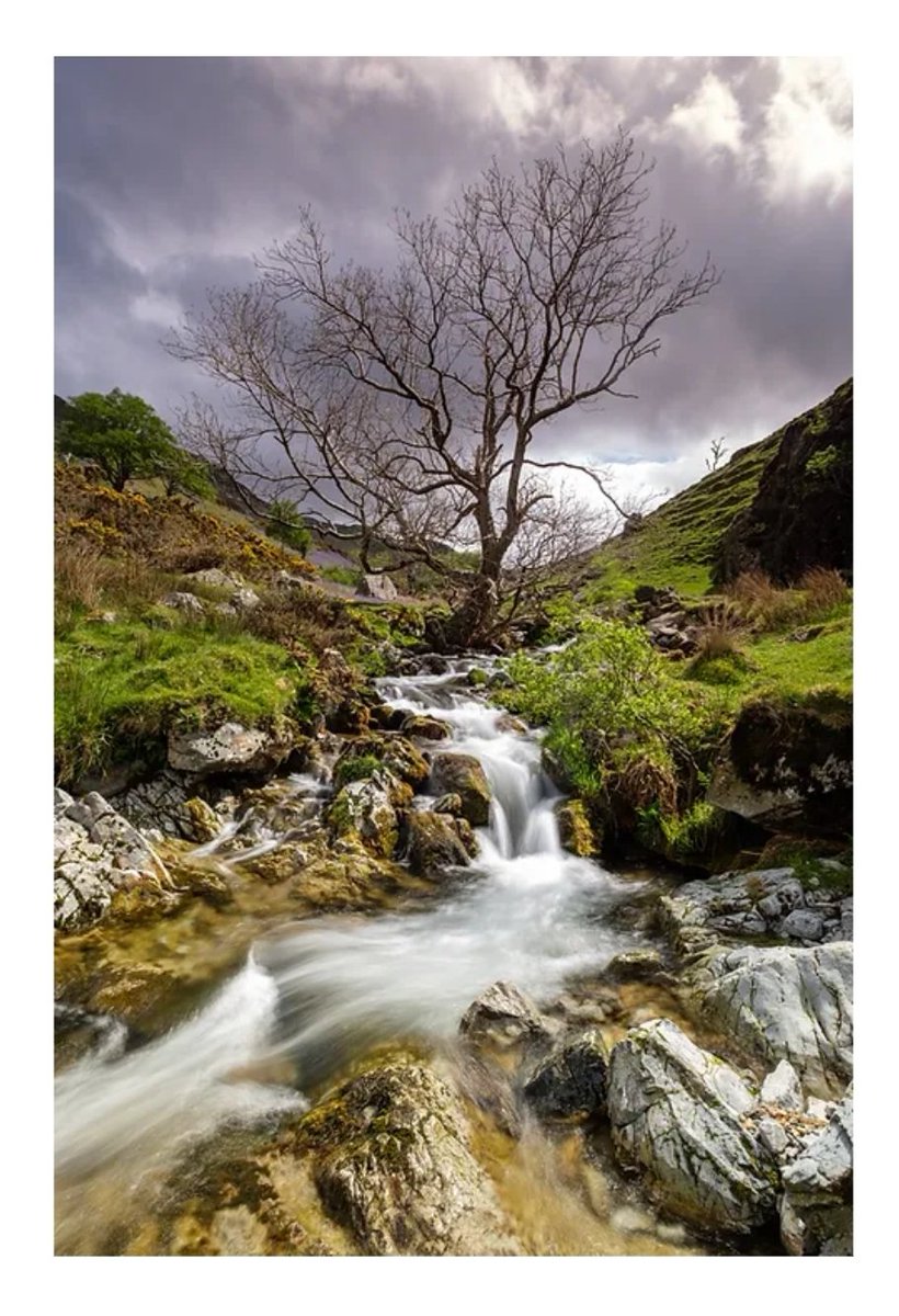 VictoriaJPhoto_'s tweet photo. Rannerdale waterfall
One from a run to rannerdale last summer
@benrouk @leefilters @fujifilmuk
#lakedistrict #cumbria #landscapephotography #lakedistrictnationalpark #wainwrights #yourlakedistrict #cumbriaguide #hikinginthelakes #scenicbritain #ukpotd #opoty #sheclicksnet https://t.co/90NARgfH3u