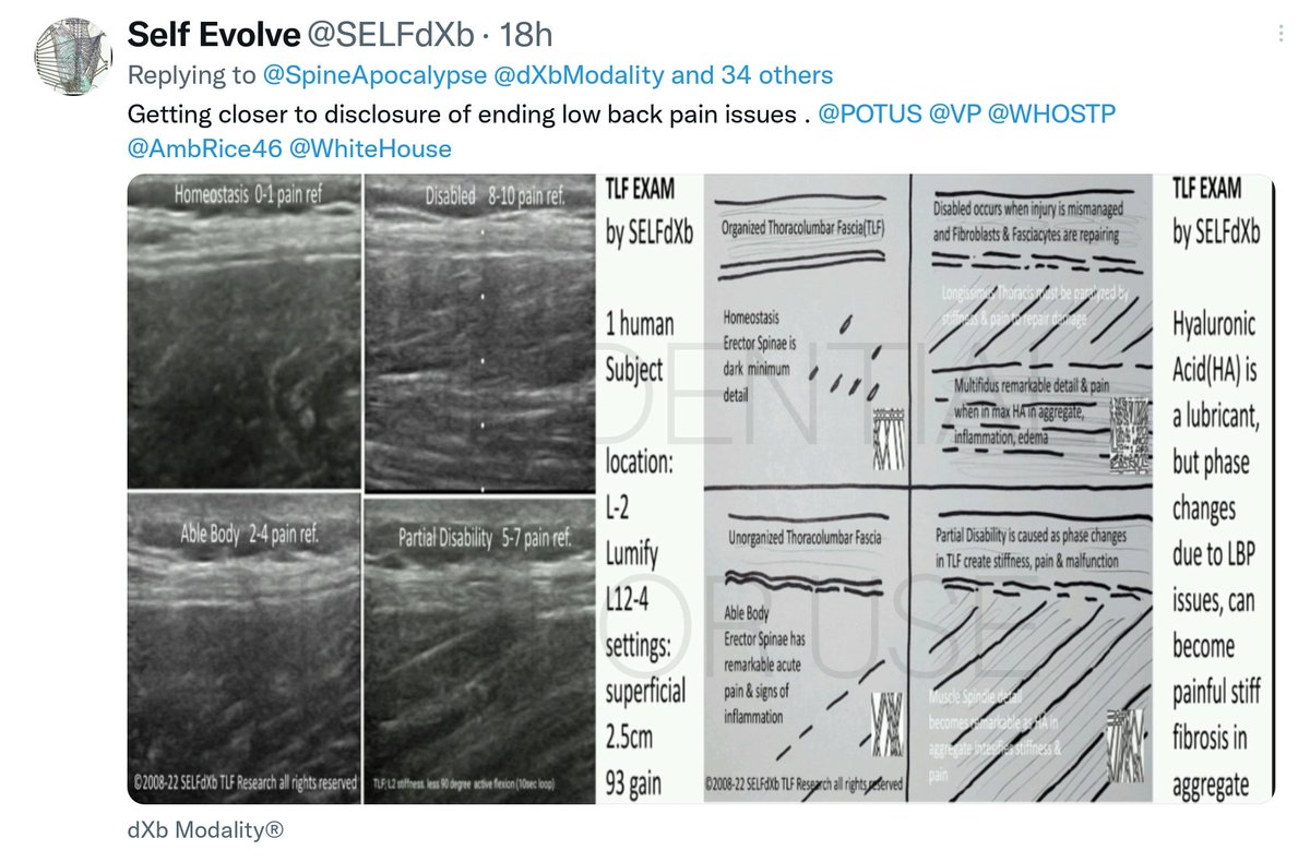 Self Evolve tweet media