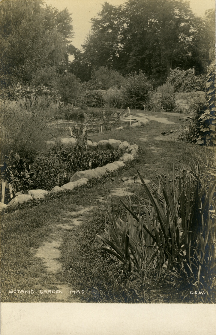 #TBT Photograph of a pathway leading through the Beal Botanical Garden on the M.A.C. campus, date unknown. The text on the front reads 'Botanic Garden M.A.C.' For more information on current events celebrating the Beal Botanical Gardens, visit bealbotanicalgarden.msu.edu. #MSUHistory