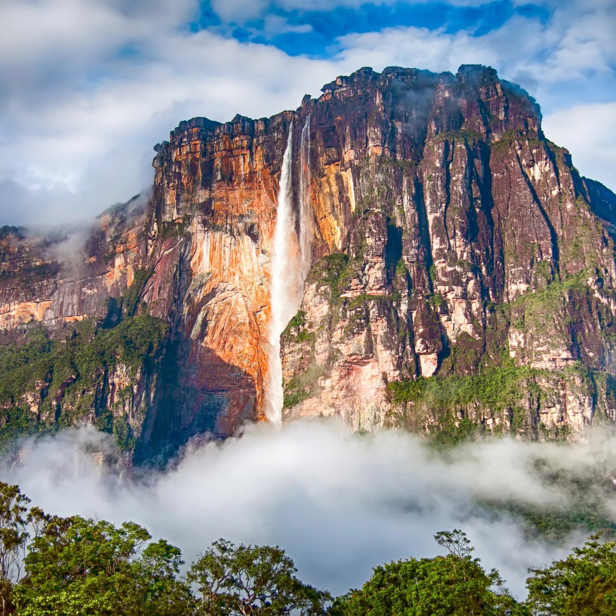 freedomfiles_'s tweet photo. before i die, i HAVE to visit these 20 places in the world

1. victoria falls 🇻🇪 https://t.co/MNxprr580p
