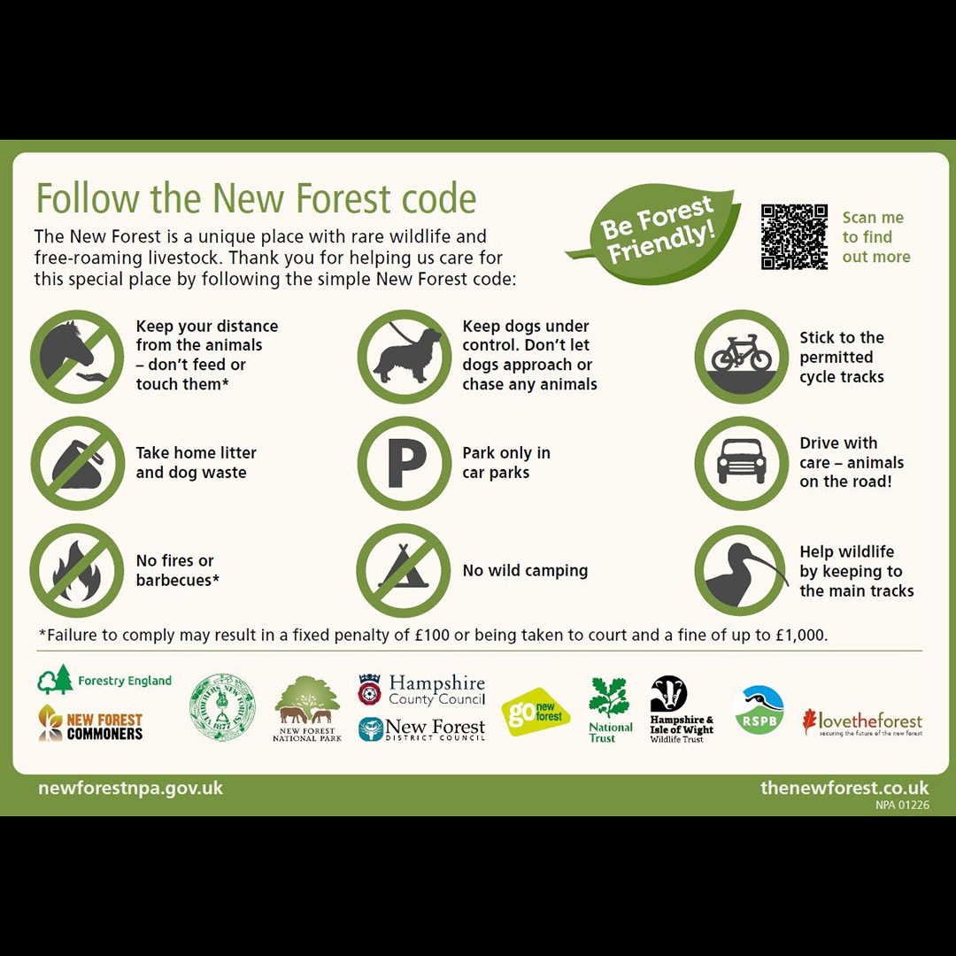 The New Forest - Forestry England (@engnewforest) on Twitter photo Day 3 ✔️😄 That's a wrap on <a href="/NewForestShow/">New Forest Show</a> for this year! We just wanted to say thanks to everyone who visited our Forest activity zone and to all those who took part in our #NewForestCode themed activities! We hope you had a great time! 🌳🌲
#NewForestShow #NewForest Day 3 ✔️😄 That's a wrap on <a href="/NewForestShow/">New Forest Show</a> for this year! We just wanted to say thanks to everyone who visited our Forest activity zone and to all those who took part in our #NewForestCode themed activities! We hope you had a great time! 🌳🌲
#NewForestShow #NewForest
