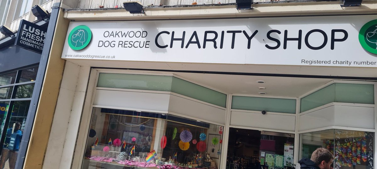 johnleeminghull's tweet photo. Charity Shop #7. Oakwood Dog Rescue, King Edward Street, Hull. Filled a couple of film gaps; vampires, 80s, Nolan, etc. £2 the lot https://t.co/y1YSVTghIr