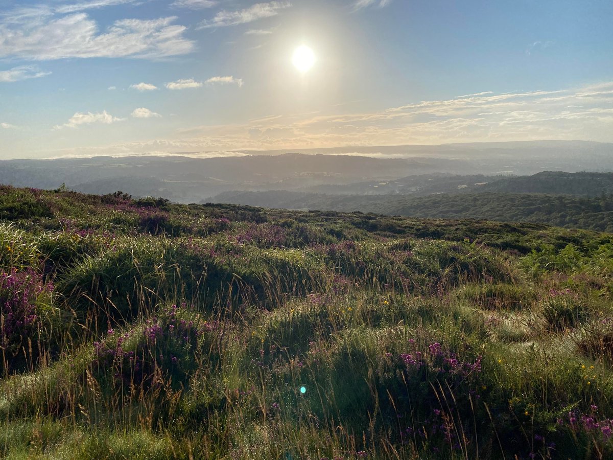Dartmoor National Park tweet media