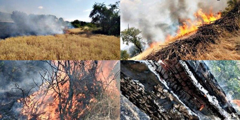 zelalamed2121's tweet photo. #Ses olun lütfen 
 #CudiYanıyorSesVer https://t.co/L5eOWygIB5