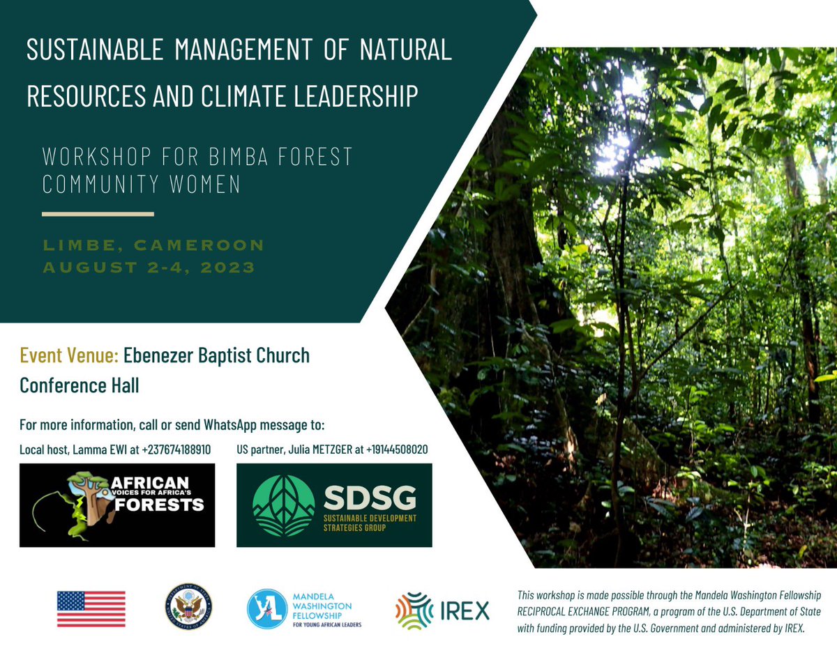 AVAFinfo's tweet image. 