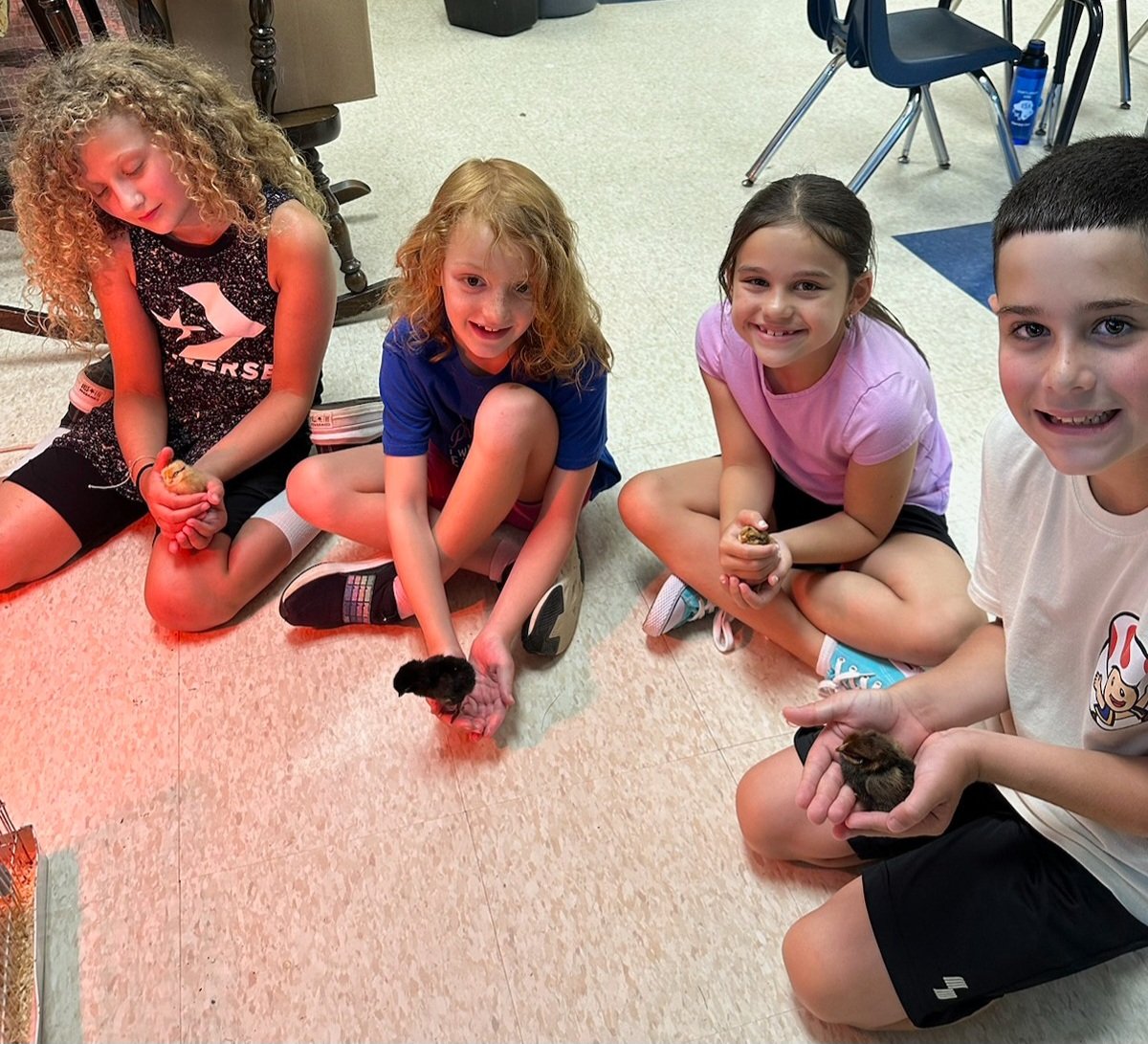 Tiffany Ziegelhofer (@tziegelhofer) on Twitter photo We're going to miss these smiling faces...what a great group of scientists!! π₯°πβ₯οΈ <a href="/ARPanthers/">Austin Road School</a> <a href="/ARPanthersPTO/">Austin Road PTO</a> <a href="/RyanBrood4/">Carolyn Ryan</a> #ARSTEMCamp2023 We're going to miss these smiling faces...what a great group of scientists!! π₯°πβ₯οΈ <a href="/ARPanthers/">Austin Road School</a> <a href="/ARPanthersPTO/">Austin Road PTO</a> <a href="/RyanBrood4/">Carolyn Ryan</a> #ARSTEMCamp2023