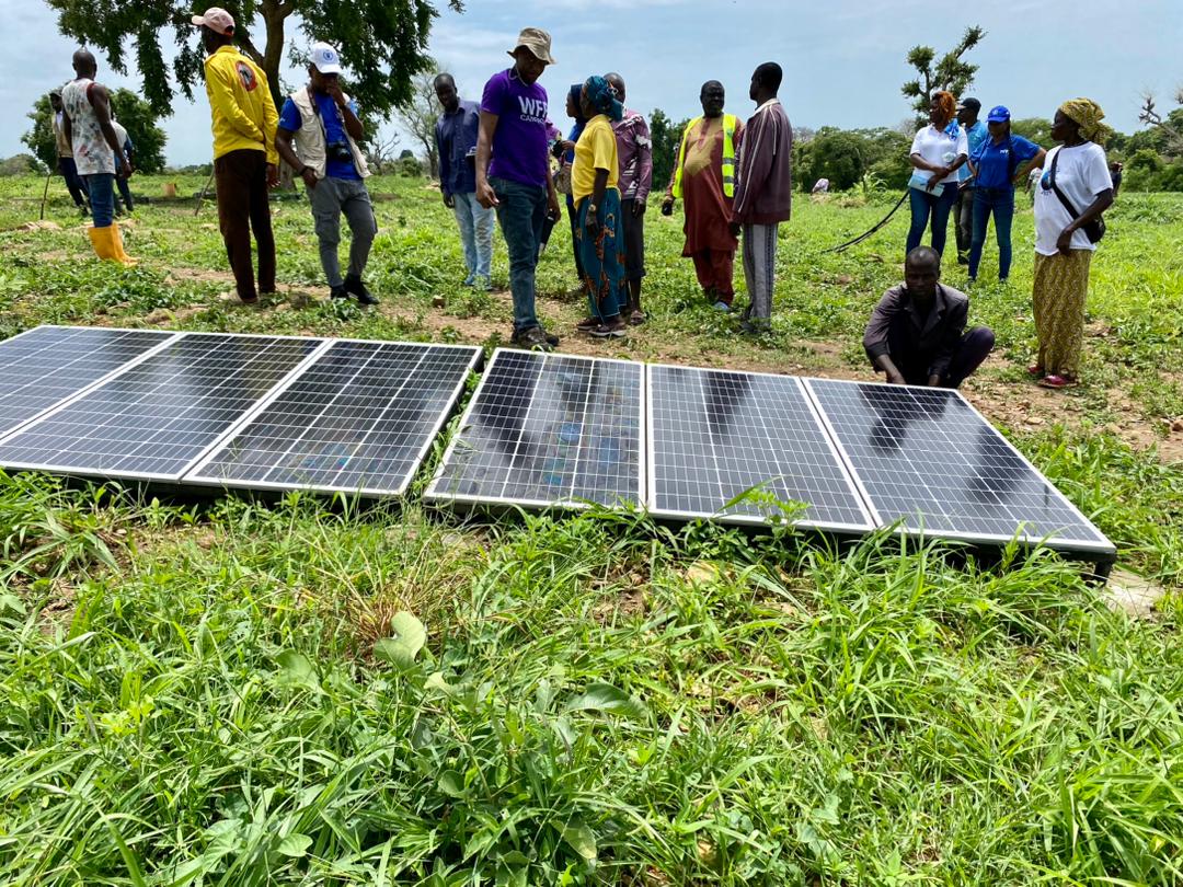 WFP_Cameroon's tweet photo. #Cameroon🇨🇲

6️⃣0️⃣0️⃣households
On 🔟hectares of farm land
Supported by a solar☀️ powered irrigation system💧
Cultivating soya be🫘, spices🥬🌶️, millet &amp; other food crops

This is how @WFP is building the #Resilience of displaced communities in #Mokolo, FN region

#ChangingLives https://t.co/Hes6n1w8Mx