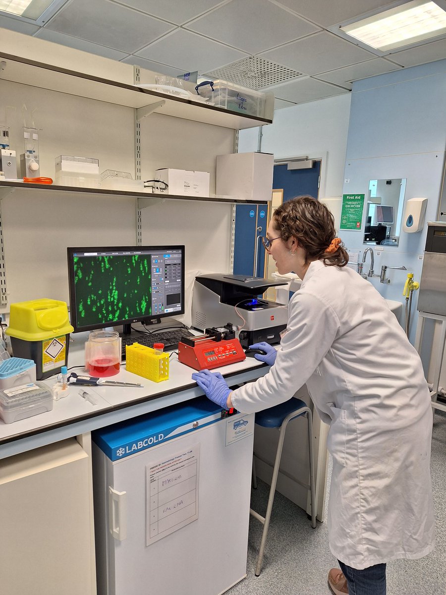 MMU_thrombosis's tweet photo. #ThrombosisThursdays!
@TheBHF PhD student @marblanez has been performing some in vitro #thrombosis assays 🔬🩸
Going to the @plateletsociety #EUPLAN meeting? We're hoping these results will feature!
@mmucvrg @MMU_CBS @MMU_LifeScience @ManMetPGR https://t.co/he2N47dWHz