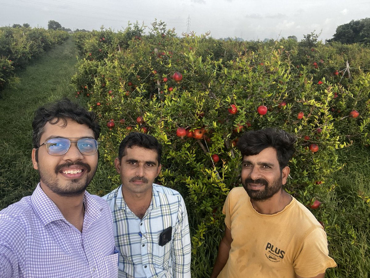 PranavV's tweet photo. Into the fields. I love this combination of red and green. 

#JaiJawanJaiKisan https://t.co/TVsK5YSEbZ