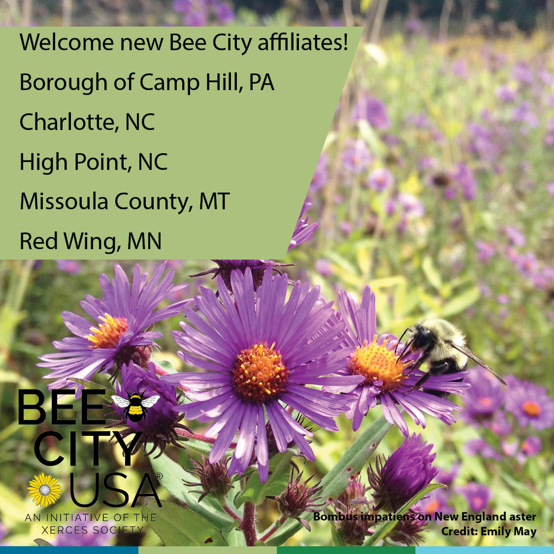 BeeCityUSA's tweet photo. Please welcome our new Bee City affiliates Borough of @CampHillPA, @CharlotteNC, @CityofHighPoint, @MissoulaCounty, &amp; @CityofRedWingMN
#CampHillPA #CharlotteNC #HighpointNC #MissoulaCounty #RedWingMN #BeeCityUSA #Bees #BringBackthePollinators https://t.co/bzNUftIgrm