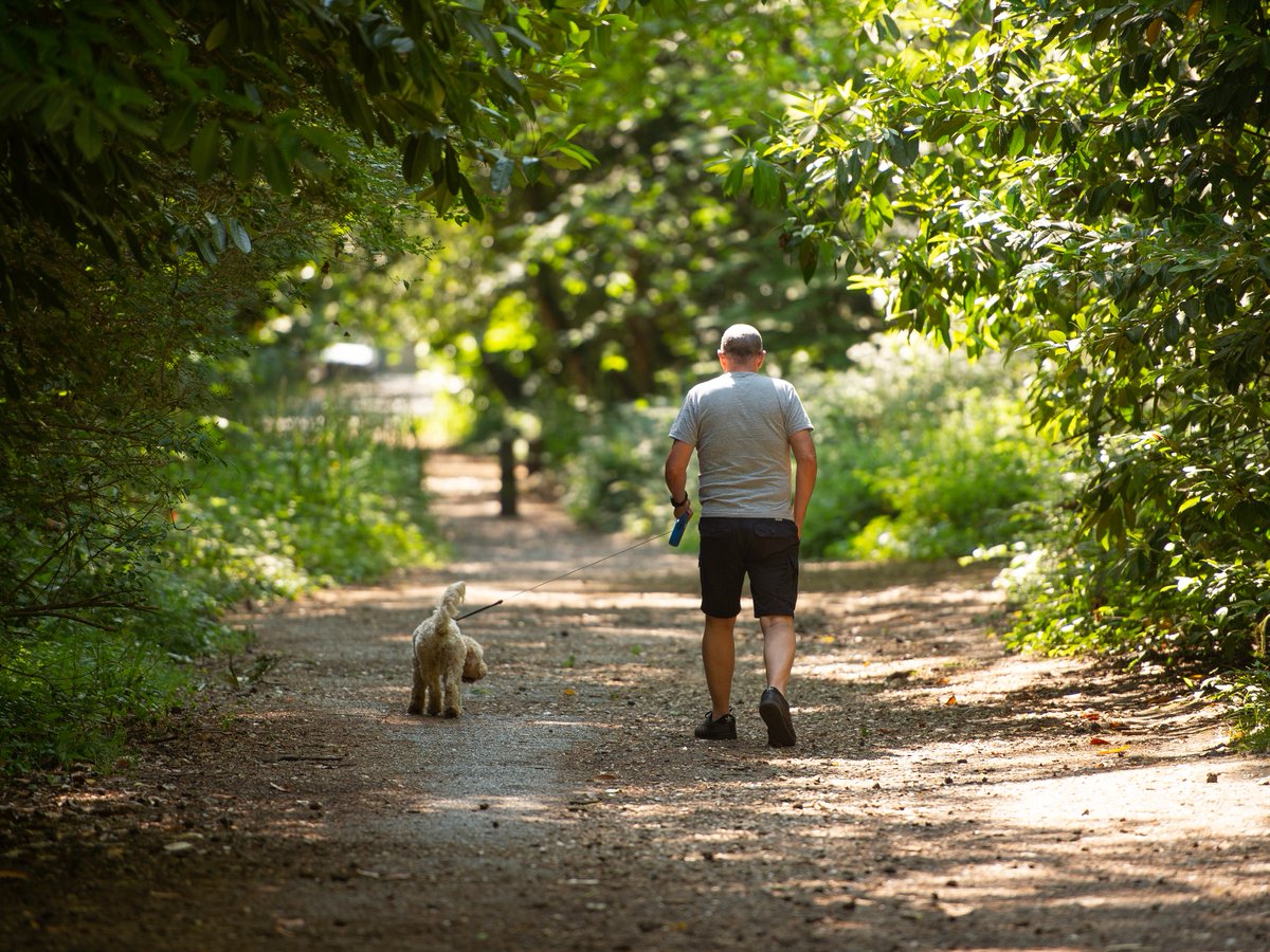 There's just two weeks to go until the launch of our latest three bedroom #homes at Seafield View. 🕙 These homes are just minutes away from the coast, making for some great days out in #Portchester. ☀️ 

Register your interest to avoid missing out: bit.ly/3DiycQm