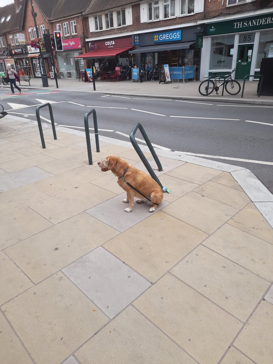 #RiskMitigation in #patientsafety is all about using visual clues to mitigate against that threat. You see a car has mounted a pavement into a cycle rack. Another driver will do the same. You don't tie your family member to the rack and put her at risk! We see but do not observe!