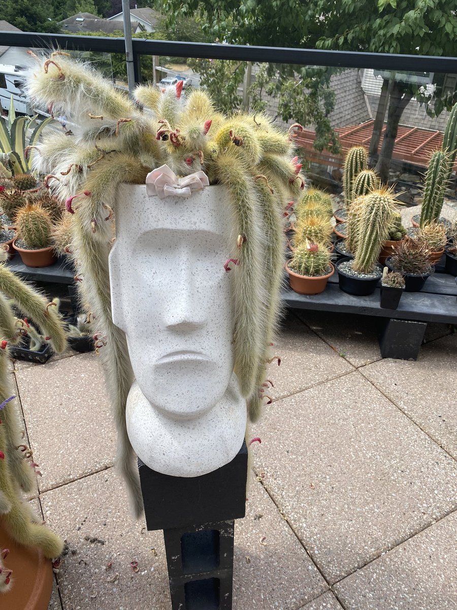 Jessica Gemella tweet media