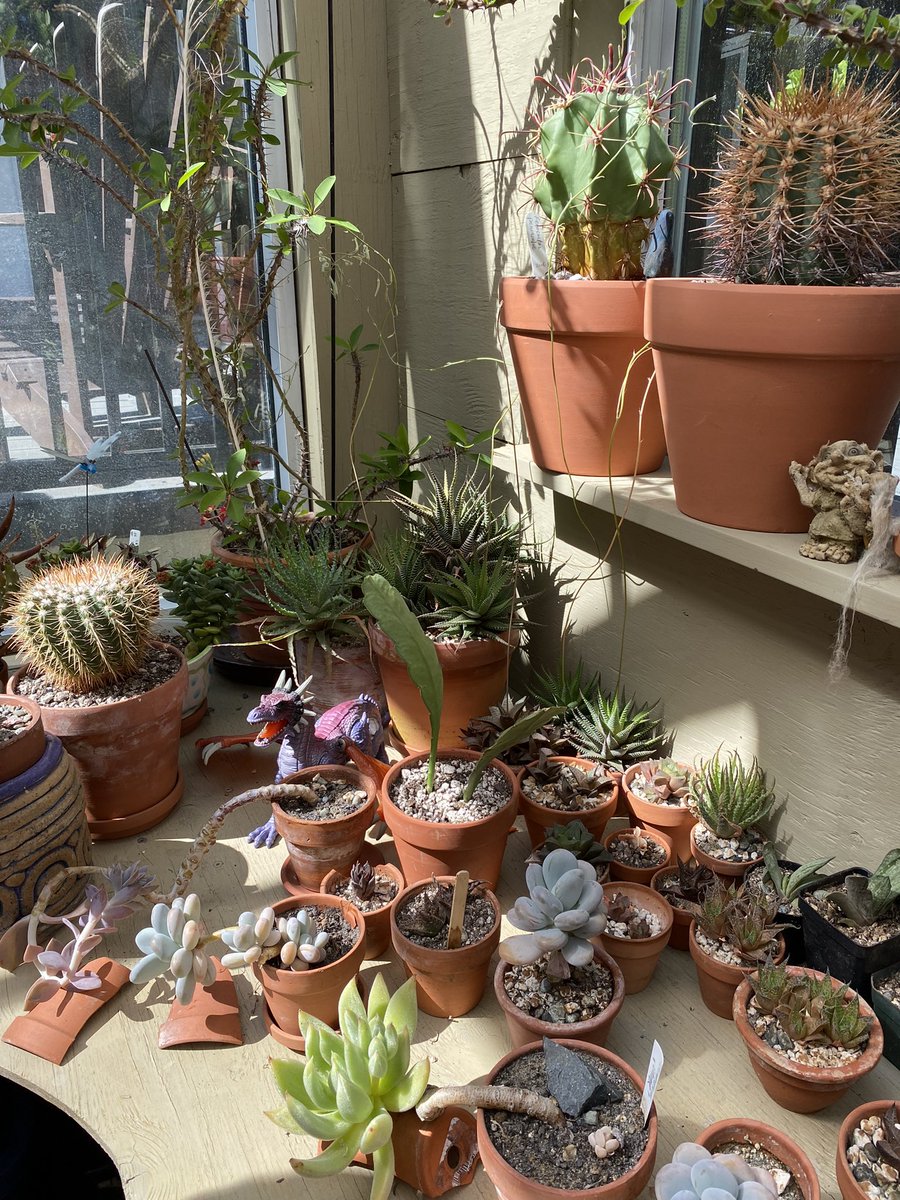 Jessica Gemella tweet media