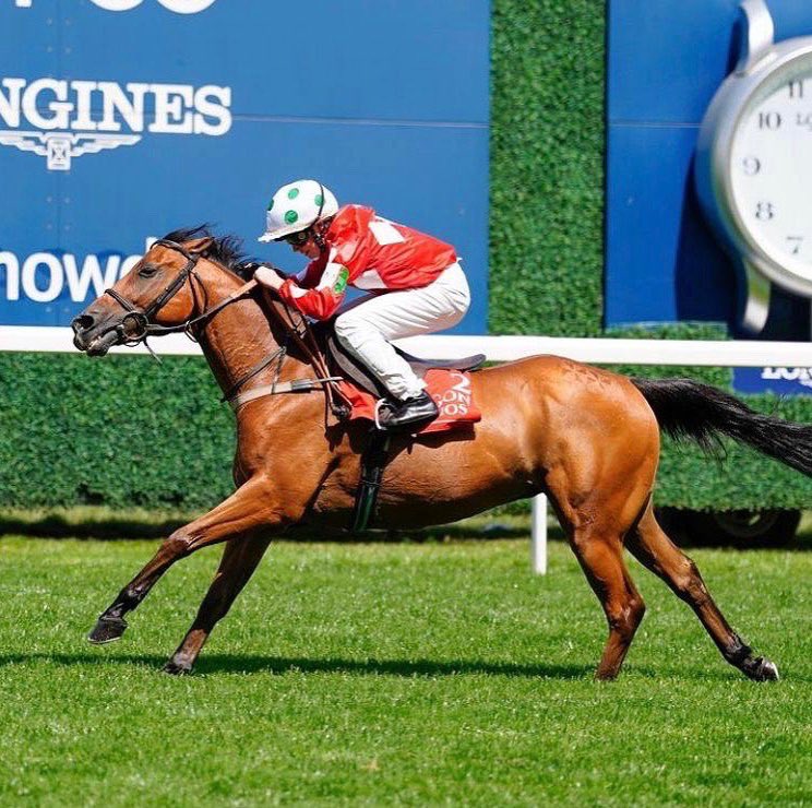 Richard Hannon tweet media