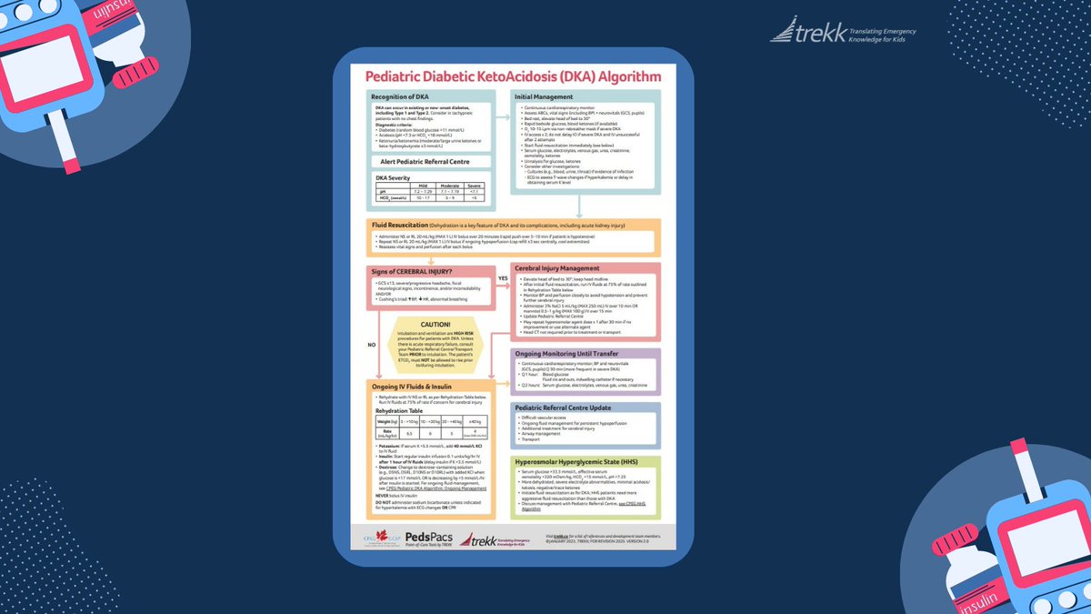 TREKKca's tweet photo. Have you read our #DKA algorithm yet? This practical tool is ideal for healthcare workers who need to make quick decisions while working bedside. Check it out here: https://t.co/0xumLf8G36

#DiabeticKetoacidosis #ResourceUpdate #Diabetes https://t.co/1CbAgzW7If